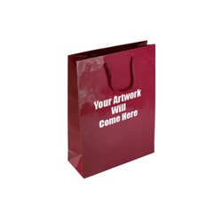 Small Gloss Laminated Paper Bags with Rope Handles-15x20x8cm